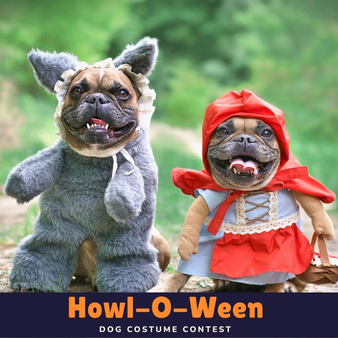 Howl-O-Ween at Sparkman Wharf: Tampa's Cutest Costume Contest