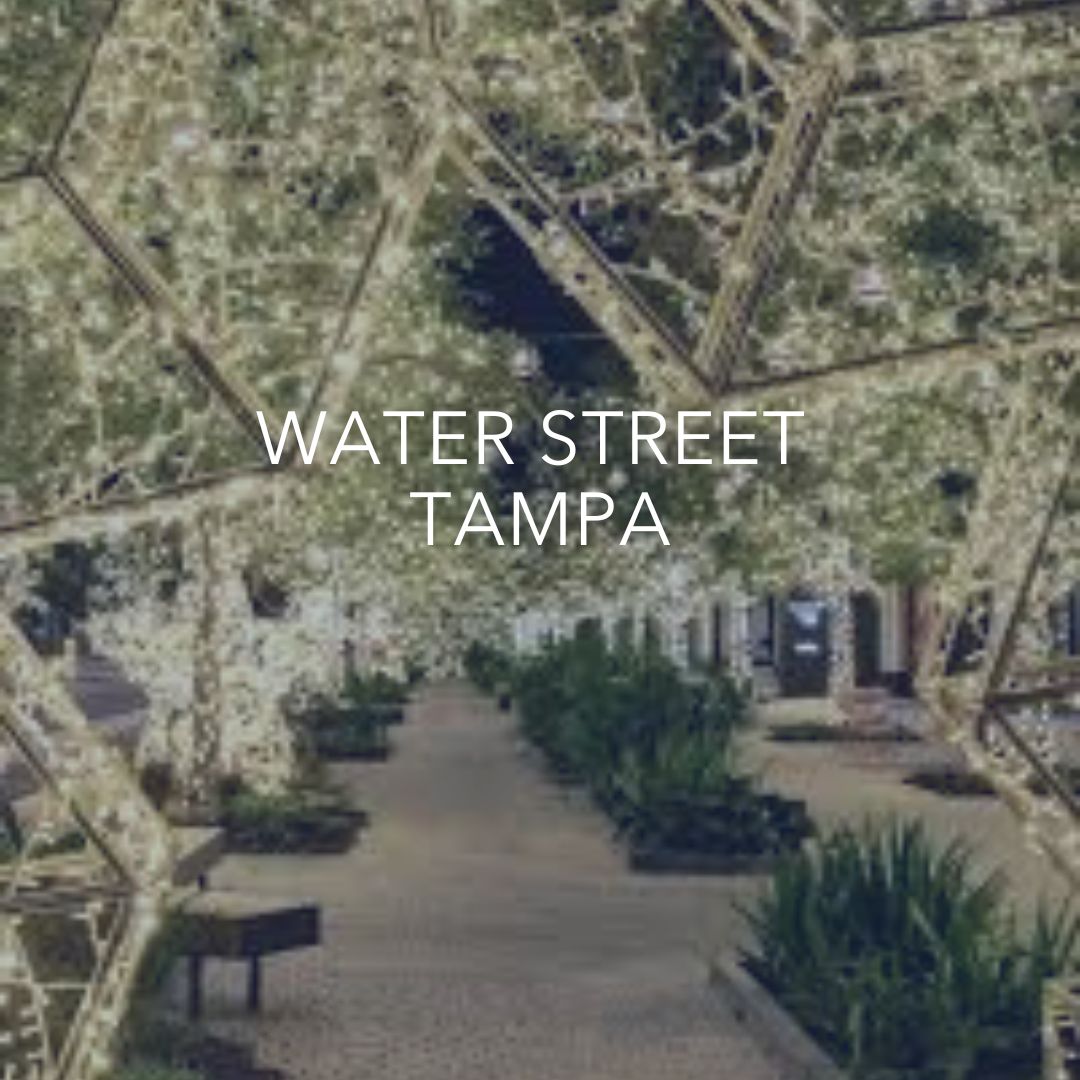 Holiday Nights in Water Street Tampa: Festive Markets, Live Music, and Holiday Spirit