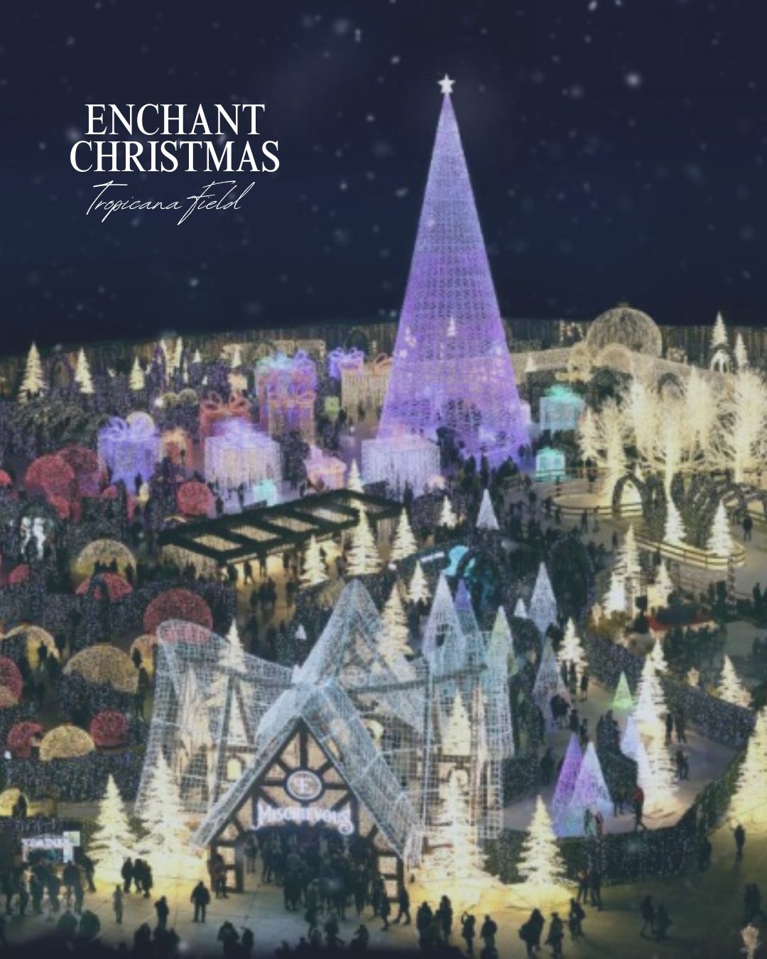 Tampa’s December Holiday Magic: The Best Local Events Happening Across Hillsborough County