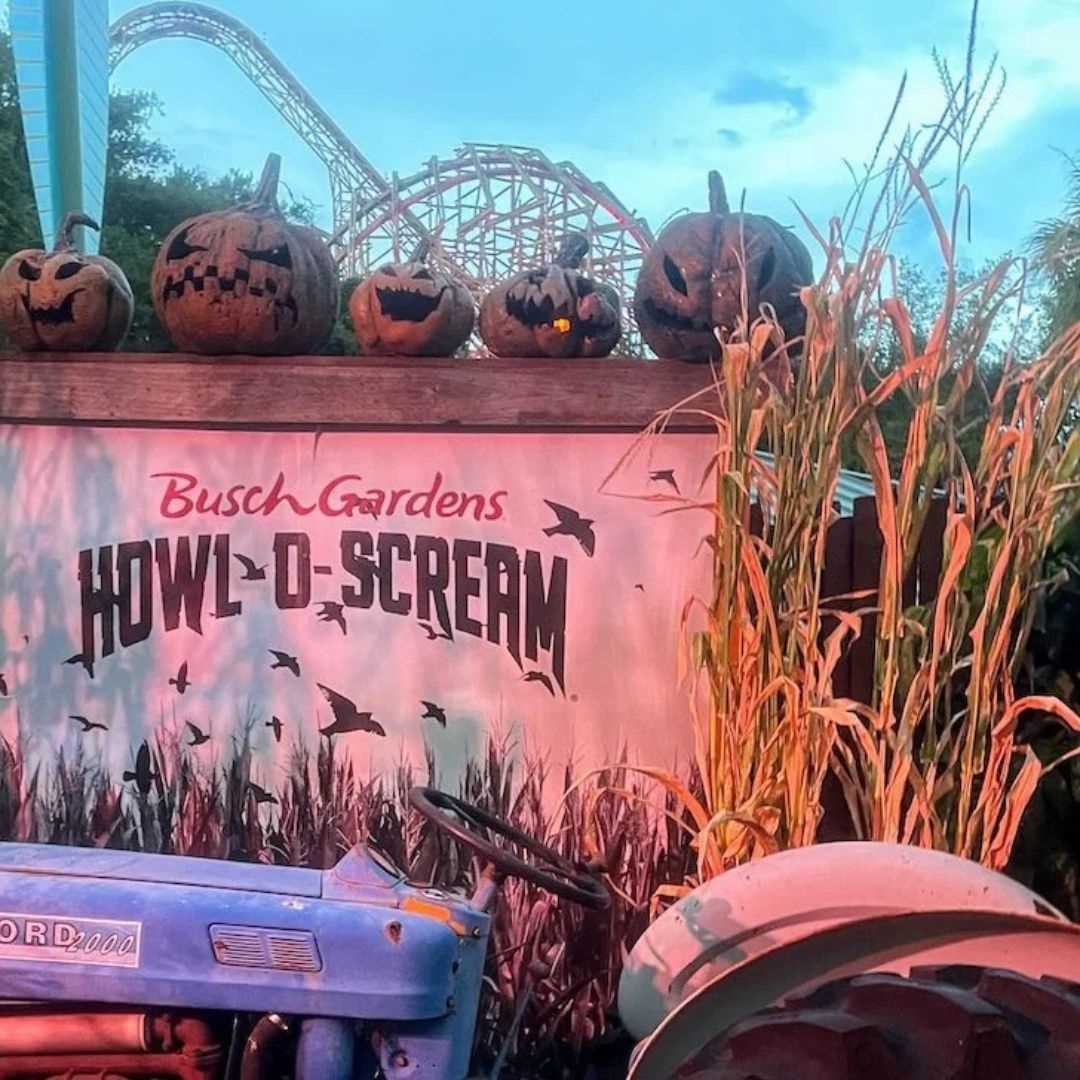Howl-O-Scream Is Back at Busch Gardens, and It's the Best Reason to Love Fall in Tampa