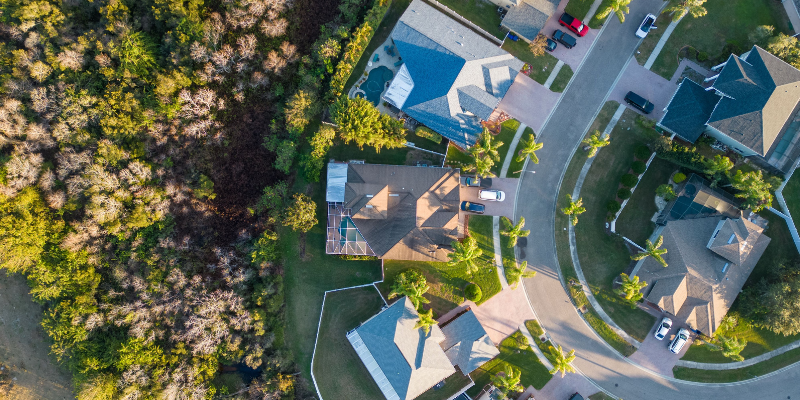 Hyde Park vs. Bayshore Beautiful: Which South Tampa Neighborhood Fits Your Move-Up Timeline?